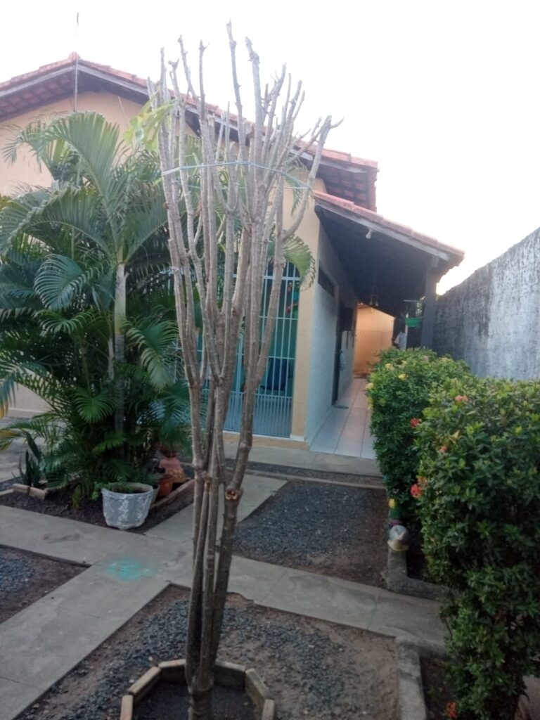Casa Comercial à Venda no Bairro Ininga Teresina