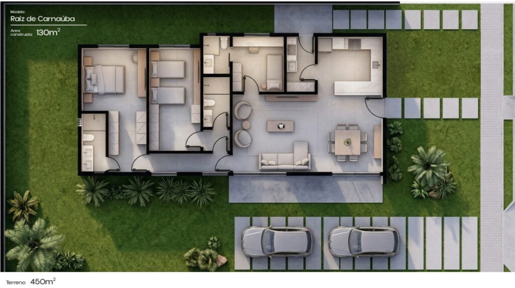 Casa Raiz de Carnaúba Planta